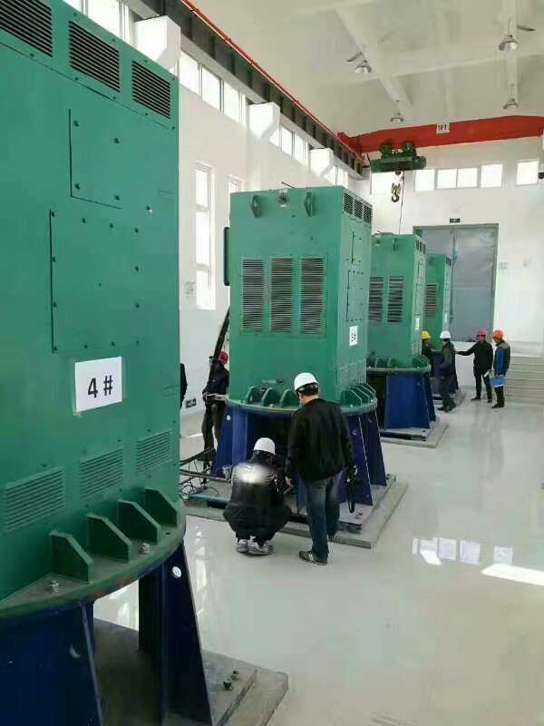 江西某污水处理厂使用我厂的立式高压电机安装现场