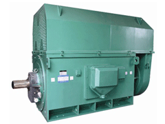 江西Y系列6KV高压电机生产厂家